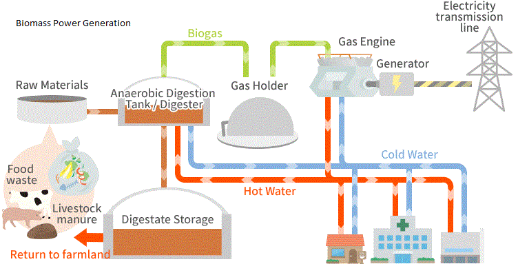 Biomass Power Generation Market Size Report, 2024-2033