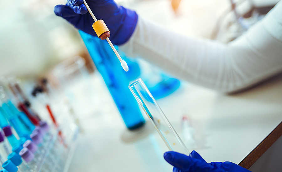 Food Pathogen Testing Market Size & Industry Analysis 2033