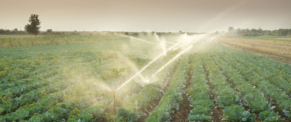 Irrigation Automation Market Size, Share, Trends-2033