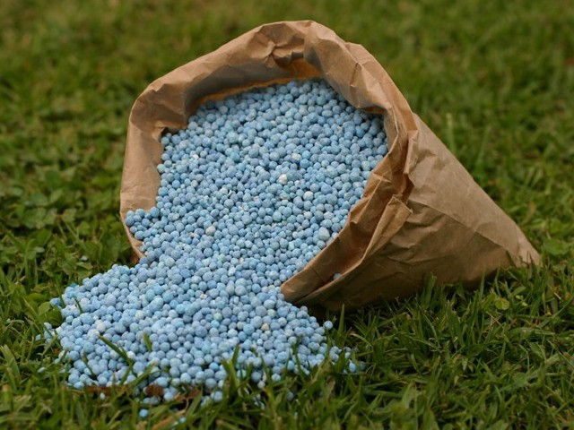 Nitrogenous Fertilizer Market Growth & Share Analysis